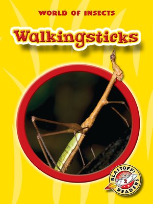 cover image of Walkingsticks